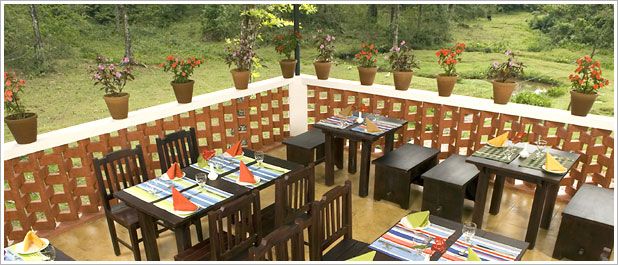 Ambady's Falling Waters
